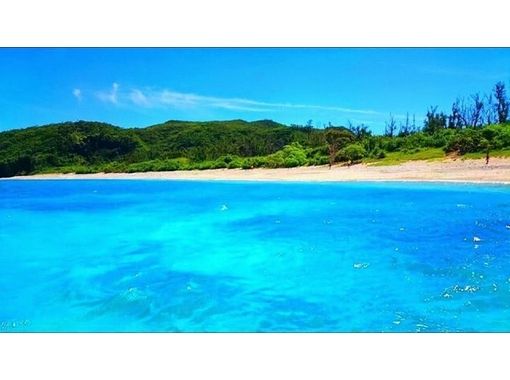 海と森のリトリート・沖縄necoツーリズム のギャラリー