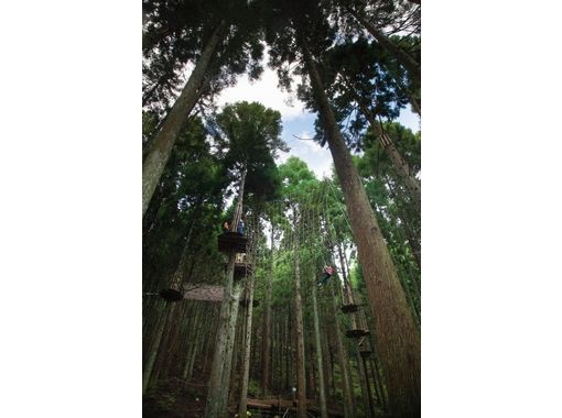 フォレストアドベンチャー・朝来(FOREST ADVENTURE ASAGO) のギャラリー
