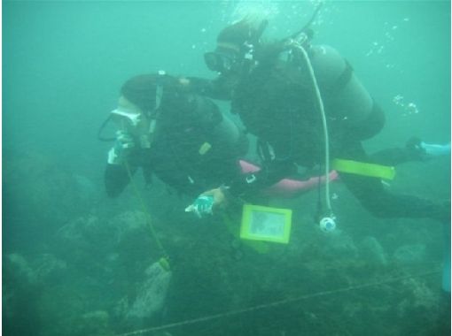 伊豆大島ダイビングセンターカラーズ(Colors Diving Center) のギャラリー