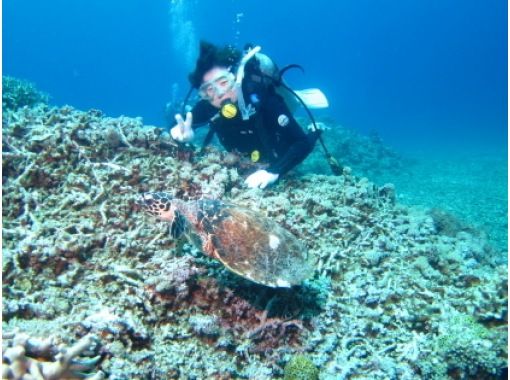 【Okinawa · Urasoe】 licensed! PADI Open Water Diver Course / C Card Acquisition Courseの画像