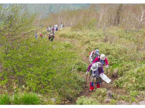 【長野・信州信濃】プロのガイドと共に「飯鋼山トレッキング」ご夫婦・ご友人で楽しめる！２名様～ の画像