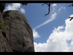 [鹿儿岛/屋久岛]推荐给《晨间迷航》的“ Tadachidake”屋久岛直放站，俯瞰朝日！