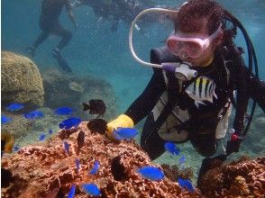 [Limited to groups with people more 8 years old, 9 years old, 60 years old Snorkeling & Kids Experience Diving fish feeding & photography