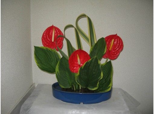 [滋賀/草津]讓我們體驗日本的傳統文化“體驗池袋池畔”！の画像