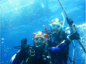【静岡・下田】初心者歓迎！PADI5スターが誇る安心・安全の体験ダイビング