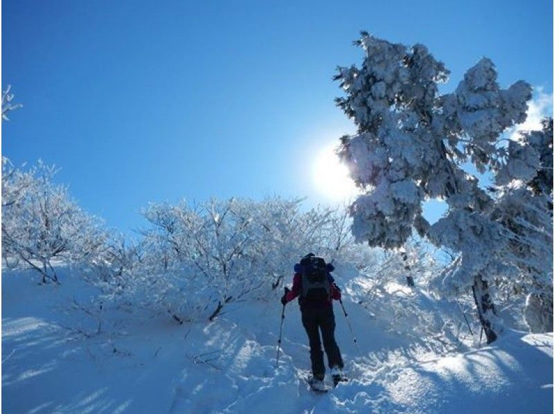 Playing in the snow feature! what do you play in winter Winter sports and snow activity popularity ranking