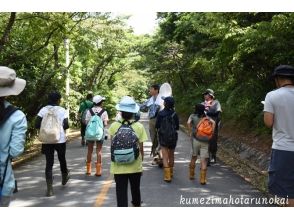 [冲绳/久米岛]漫步在人与自然相连的森林中！ “穿越拉姆萨尔森林”