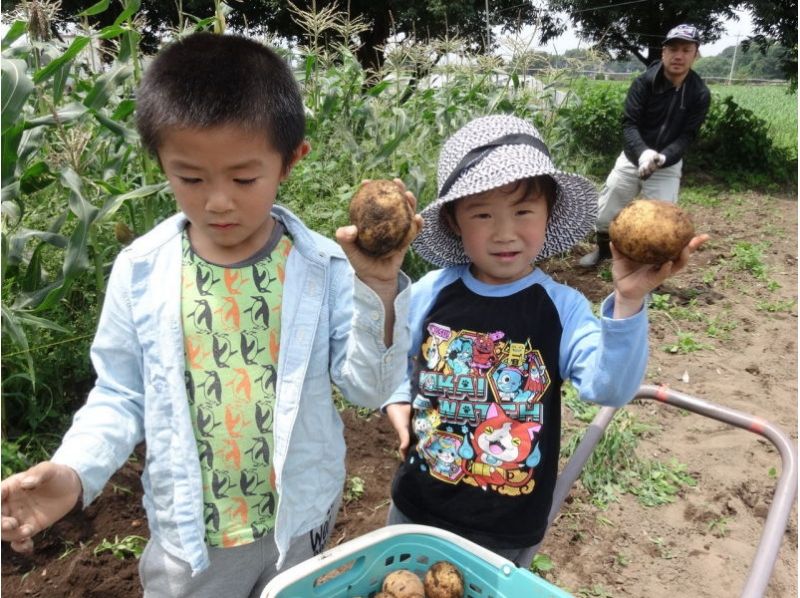 [กุมมะเมบาชิเมือง] "ปลูก" และ "เก็บเกี่ยว" เช่นใช้เวลาครึ่งวันที่จะสัมผัสประสบการณ์การเกษตร★ชนบทの紹介画像