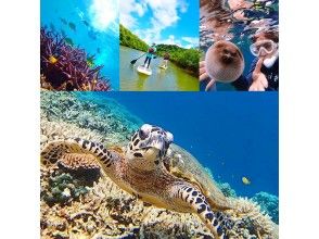 【世界遺産 西表島】バラス島でウミガメと泳げる！日本最大級仲間川マングローブSUPクルーズ＆バラス島シュノーケリング【ツアー写真無料】