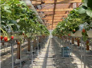 Fruit Village Harada Farm