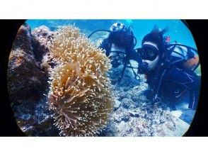 [Okinawa Obama Island] Experience Diving & Snorkeling & landing on a phantom island (1 day plan)