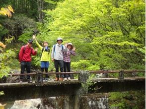 [Nara, Yoshino] Moss walk on the innermost ancient road ~ Relaxing holiday in the primeval forest full of greenery ~