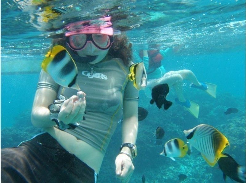 [Kagoshima, Yoron Island] Snorkeling tour to see Yurigahama Beach and the clownfish familyの紹介画像