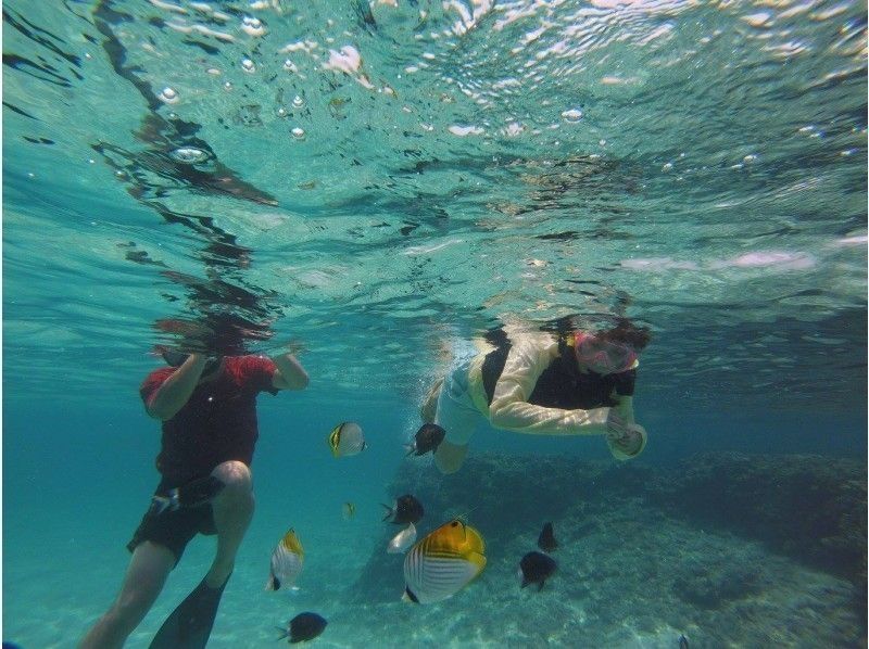 【鹿児島・与論島】初めての方でも安心☆シュノーケルツアーの紹介画像