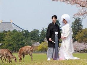 【奈良・奈良市】婚礼  前撮りロケーションフォト！豊富な衣装＆ヘアメイク付き！