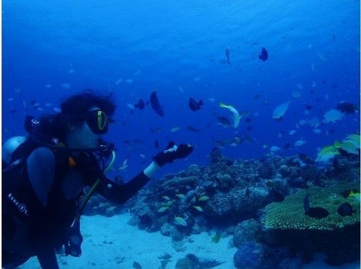 【沖縄県・本部町】初めての方も安心！本島北部で体験ダイビング！ の画像