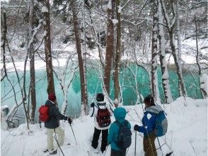 [Fukushima/Urabandai AM] Safe Small-Group Snowshoe Tour at Blue-Shining Goshikinuma