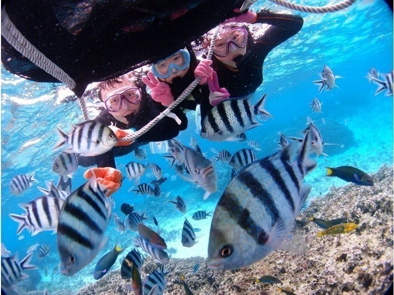 3歳まで無料！ワクワクのボート旅から始まる青の洞窟シュノーケル。専属ガイド＆GoPro撮影付きで、家族の“はじめての海”を最高の思い出に。の紹介画像