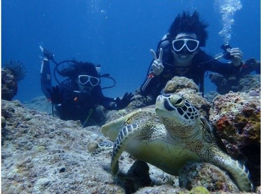 【沖縄・石垣】体験ダイビング２本＋スノーケル！蒼い海でリゾートダイビングを楽しもう！の画像