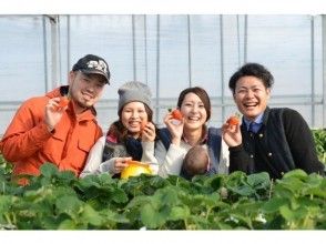 [Fukuoka ・ Ukiha】 Saturday limited ☆ Night strawberry hunting ♪ (pet OK, condensed milk OK)