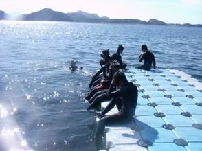 Skin Dive Naki / Echizen area 1 day course