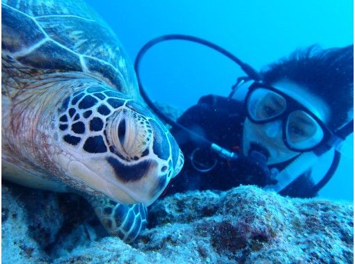 【沖縄県・石垣市】シュノーケリング付き★美ら海（ちゅらうみ）体験ダイビング半日コース　の画像