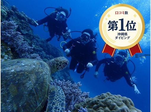 Google口コミ数第1位！【那覇発・半日・慶良間諸島】海ガメに逢える!?カメラレンタル付！沖縄屈指の透明度！初心者向けの安心体験ダイビングの画像