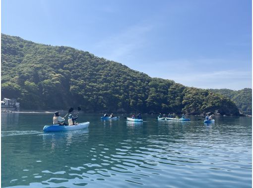 ～福井・若狭～【5月・6月開催】海中にひろがる海藻の森！初夏の若狭湾コース＜3時間＞の画像