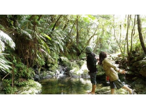 [Learn how to play, family trip] Let's enjoy play and learning with family (one day reserved plan)の画像