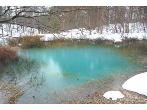 【福島・裏磐梯】※午前実施 手ぶらでOK♪ 神秘の森を歩く五色沼スノーシュー
