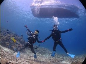 【沖縄・水納島・瀬底島】人気の島で体験ダイビング（ボートダイブ・1回コース）