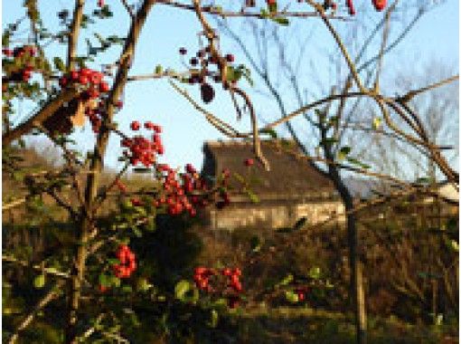 [Ishikawa/ Kanazawa] Walk with the guide! Sunset temple Satoyama foot pass (walking path, small trip)の画像