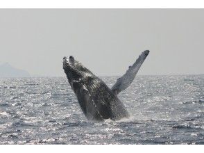 JAM 海洋俱乐部
