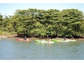 Iriomote Island Urauchigawa Kankou