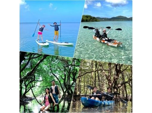 【石垣島/SUP or カヤック体験】北部の絶景の海&不思議な森マングローブ&上陸探索生き物探し✨写真/動画無料！シャワー•更衣室完備‼️の画像