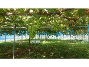 Jingu-ji sightseeing orchard