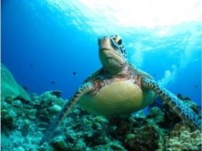 ジョイクリエイト沖縄ティーダ