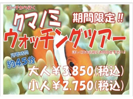 泳げなくても問題無し！！最短時間・距離でクマノミウォッチング～！の画像