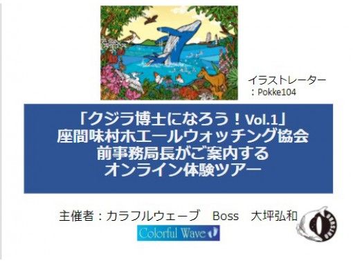 【慶良間諸島・座間味島】オンラインクジラガイドツアー　くじら博士になろう！Vol.1初級編　事前に質問を承りますよ。写真や動画で配信しますの画像