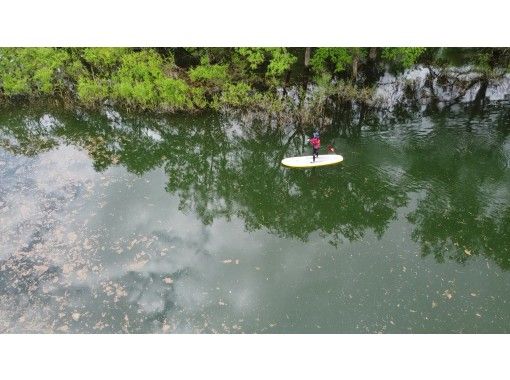 【山形・飯豊】幻想的な白川湖水没林でゆったりとした時間を過ごすSUPorカヤックプレミアム体験 ♪　山形駅からの無料送迎可、写真サービス！の画像