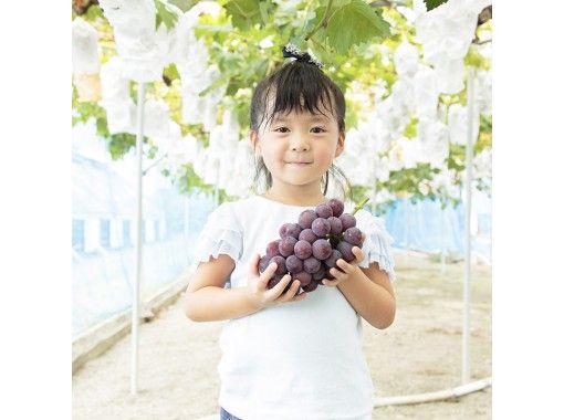 [Okayama / Akaiwa] Grape Plan-Muscat ชิม 1 พวง (40 นาที)の画像