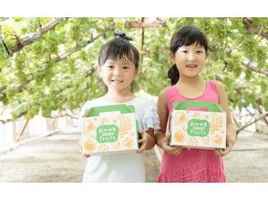 [Okayama / Akaiwa] ประสบการณ์ล่าพีช "2 + 2 ชิม" (60 นาที)