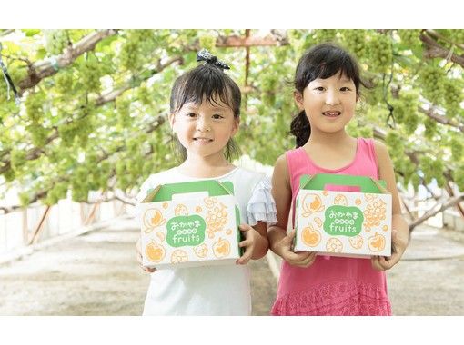 [Okayama / Akaiwa] ประสบการณ์ล่าพีช "1 + 1 ชิม" (60 นาที)の画像