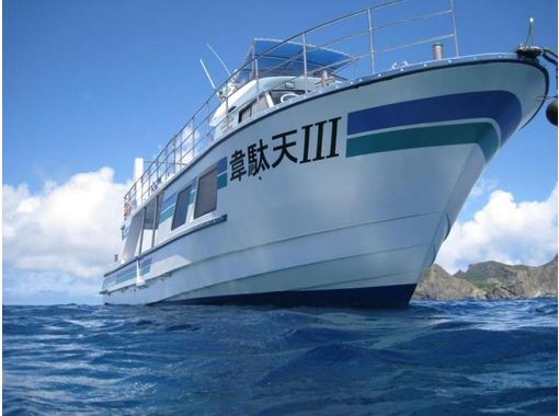 【小笠原・父島列島周辺】小笠原の美しい海の世界へ、ボート体験ダイビング！の画像