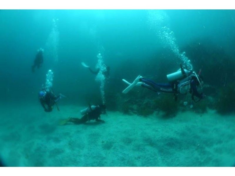 [Yamaguchi ・ Ube City】 Fun, excitement for you! One day trip experience Diving!