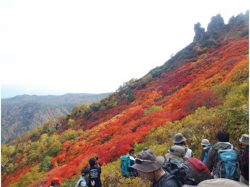 [Hokkaido Sounkyo] A day trip autumn leaves hiking tour with a professional guide in Kurodakeの画像