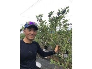 【和歌山・有田】ブルーベリー摘み取り体験｜食べ放題｜阪和自動車道広川ICから車で1分！お土産付！