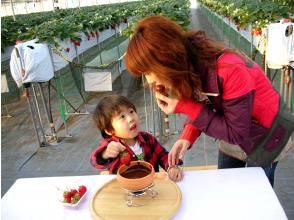 Gourmet Strawberry Museum Maeda