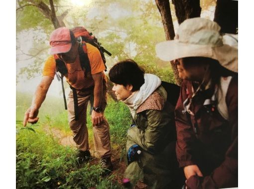 【福岡・筑紫野発】カップル・グループ・初心者OK!1泊2日でくじゅう阿蘇ハイキングの画像