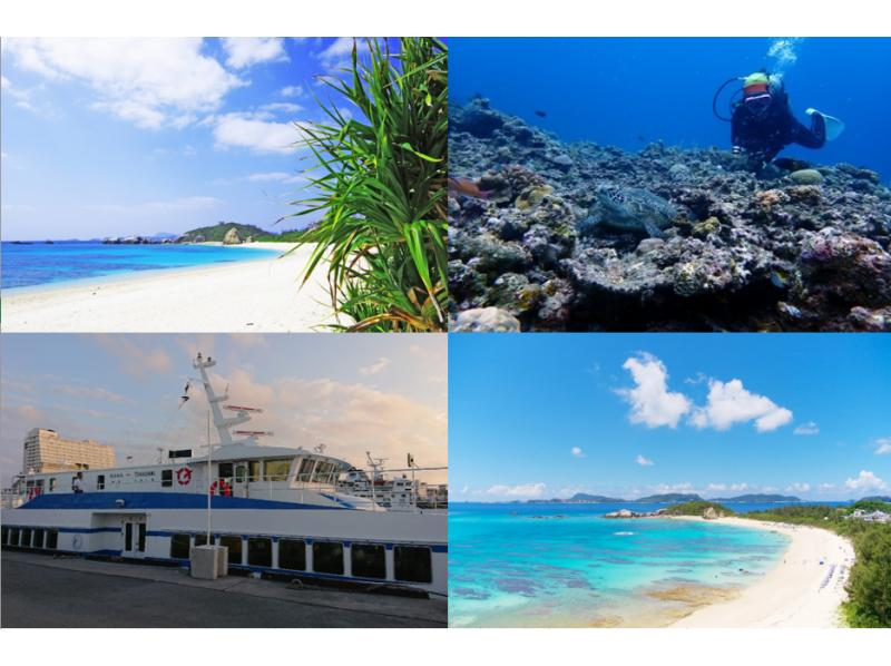 [From Naha Tomari Port] Go by high-speed boat! Meet the superb view of Kerama Blue! Tokashiki Island day trip experience divingの紹介画像